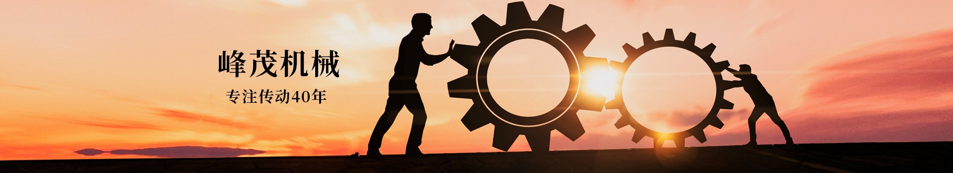 東莞市峰茂機械設備有限公司，專注齒條齒輪傳動40年